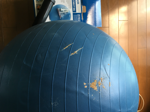 Reebok リーボック バランスボール ニキ 新秋津のボディケアの中古あげます 譲ります ジモティーで不用品の処分