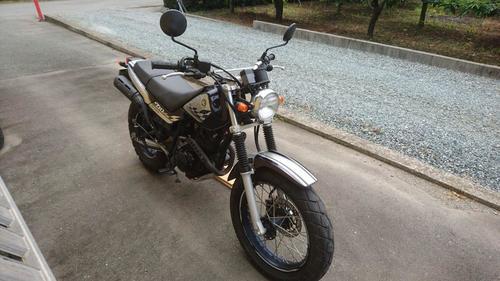 【早い者勝ちです】YAMAHA(ヤマハ) TW225E 20th Anniversary Special Edition(スペシャルエディション） 2007年式 距離少なめ 希少車!