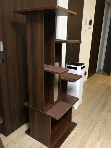 美品半額】Petio necoco リビング用キャットタワー www.volstrom.com.br