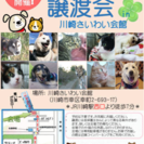 7/23 保護犬猫譲渡会in川崎
