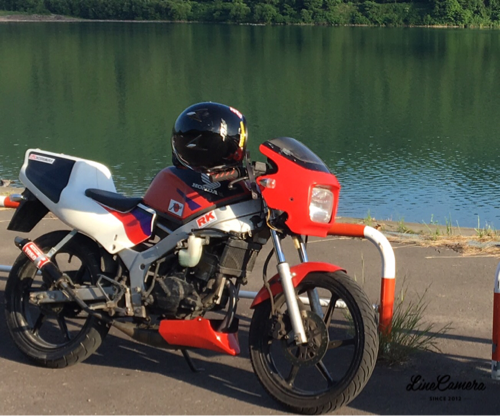 HONDA NS1 nsr80エンジン搭載