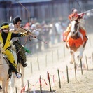 業務拡張の為　乗馬クラブ　正規スタッフ急募　住込みOK　動物、馬が好きな方！ − 栃木県