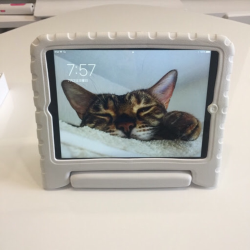 Mac iPad 子供用ケース付き 中古美品