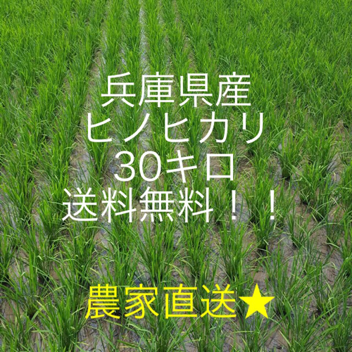 価格改定※新米完売ありがとうございます。予約された方のみ