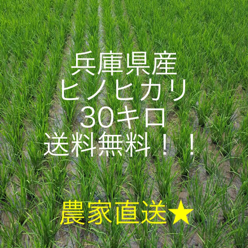 新米できました✩兵庫県産 ヒノヒカリ、きぬひかり30キロ