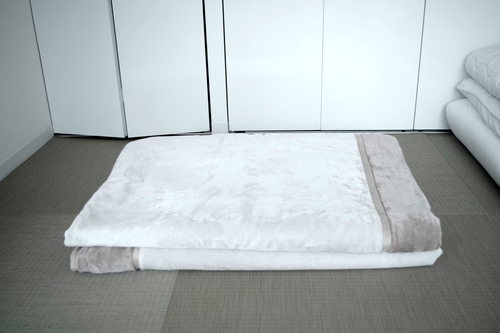 新品 羽毛布団 ホワイトマザーグースダウン95％ シングル 手渡し可能