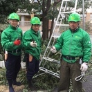 【浜松市で募集】植木屋未経験大歓迎！植木カットデザイナーの募集です。 - サービス業