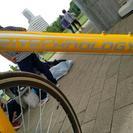 お台場潮風公園でFIRESALE中! 