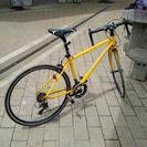 お台場潮風公園でFIRESALE中! 