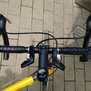 お台場潮風公園でFIRESALE中! 