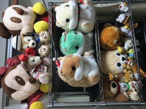 ↓ぬいるぐみセット↓