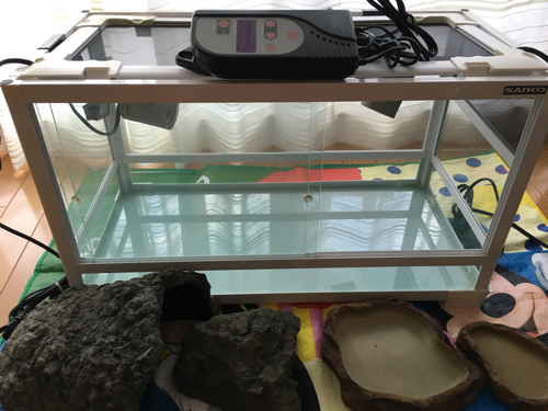 【爬虫類飼育セット】格安です
