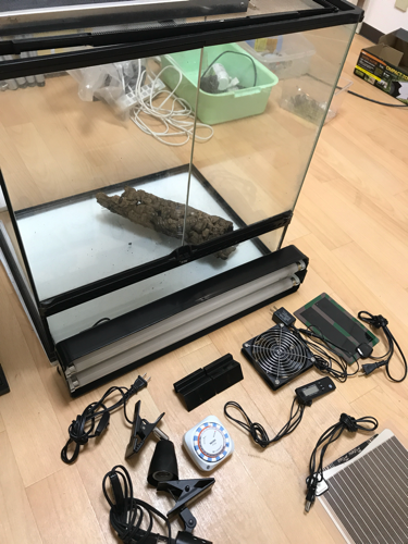 爬虫類 飼育セット