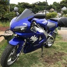 YZFR-1