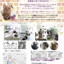 4日保護猫カフェにて、杉本彩さん出演のイベントの前準備
