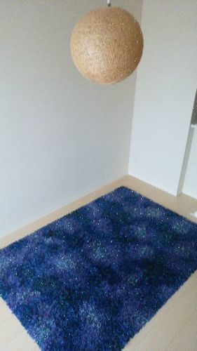 Francfrancおしゃれラグと照明カバー