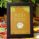 Hawaii-Maui Coin Disply2