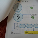 気軽に通って綺麗に弾けるピアノ教室