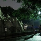 8月5日(8/5)  夏限定！夜の動物園へ！福岡動物園ナイトウォ...