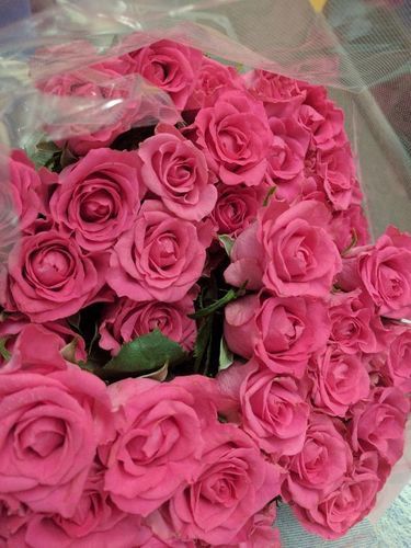 バラ渋谷駅 花屋 代々木のその他の中古あげます 譲ります ジモティーで不用品の処分