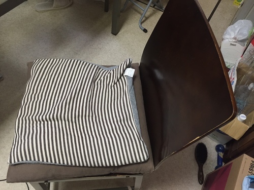 訳あり家具 ダイニングチェアの一脚