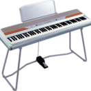 KORG SP-KORG SP-250 WS  電子ピアノ