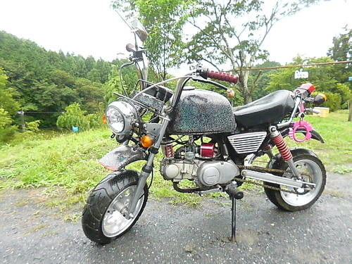 仙南～　モンキー？ゴリラ？ダックス？良く見て下さい!!