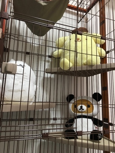 猫用 3段ゲージ