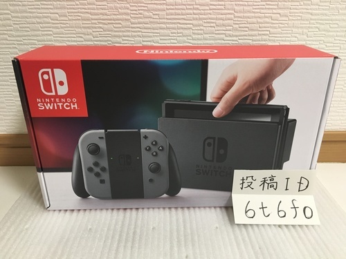 その他 Nintendo Switch gray
