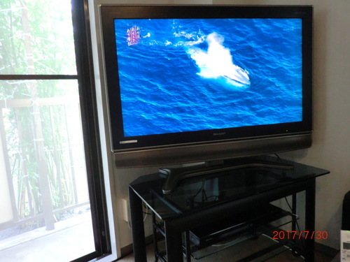 液晶テレビ＆テレビ台