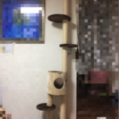 猫タワー   キャットタワー