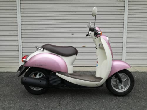 限定価格!16日中価格!ホンダ クレオスクーピー | complexesantalucia.com