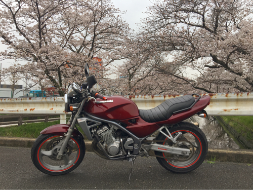 バリオス1型 バリオス車体