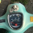 値下げしました！希少！エメラルドグリーン プレスカブデラックス