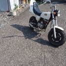 V.A. Pure Groove 1&2 Listen To A 人気 Sound