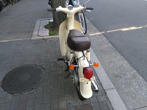 【中古】リトルカブ ホンダ 50cc プロ整備・3か月保証