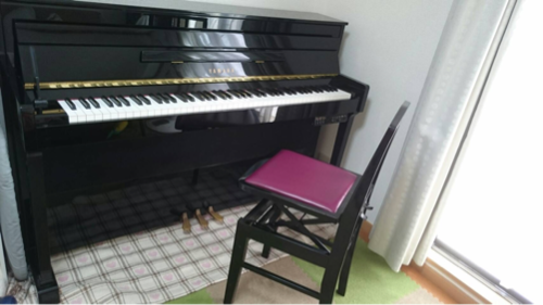 YAMAHA DUP-20 2001年製