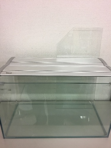 水槽セット