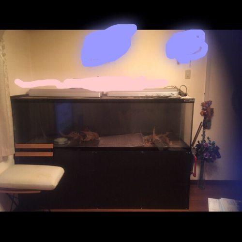 【お取引中】大型アクリル水槽