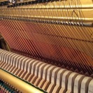 お買い得です❗️極上ヤマハU1M 1981年製