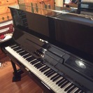 お買い得です❗️極上ヤマハU1M 1981年製