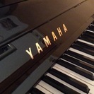 お買い得です❗️極上ヤマハU1M 1981年製