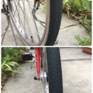 アンジェリーノ赤AG26-3【9月引渡し予約】