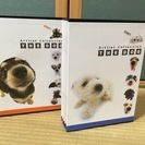 新古品　THE DOG　ポケットアルバム5冊組×2セット