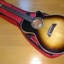 タカミネ DSP-516A（PTUプリ） アーチド・トップ＆アーチド・バック　日本製