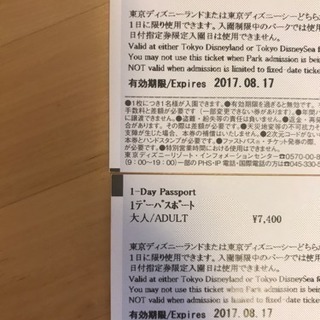 ディズニーランドチケット 二枚