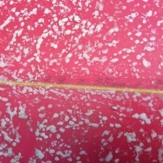 ロングボード サーフボード