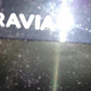 SONY  2011年型です