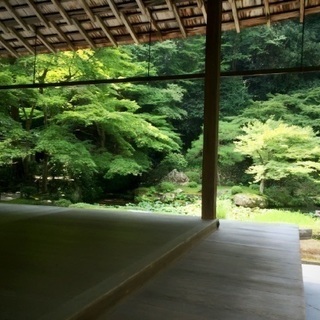 京都一人旅。どなたか一緒に回りませんか？