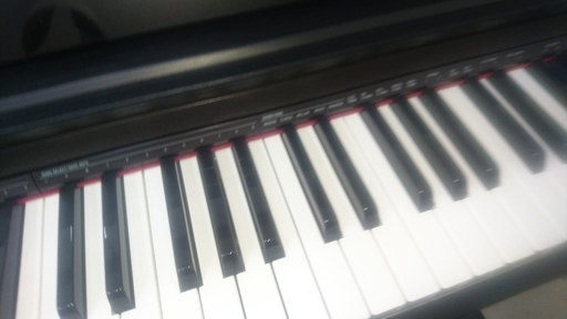 CASIO    PX-735BK   2011製　　￥25.000-